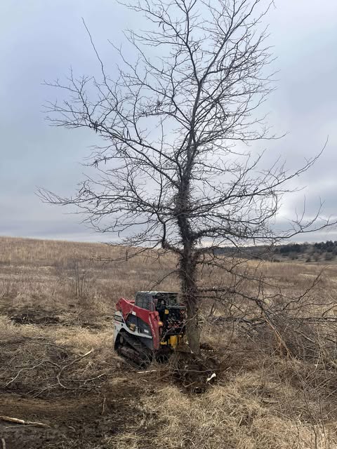 CL Fabrication Tree Pullers for Skid Steer, Compact Track Loaders and Tractor Loaders