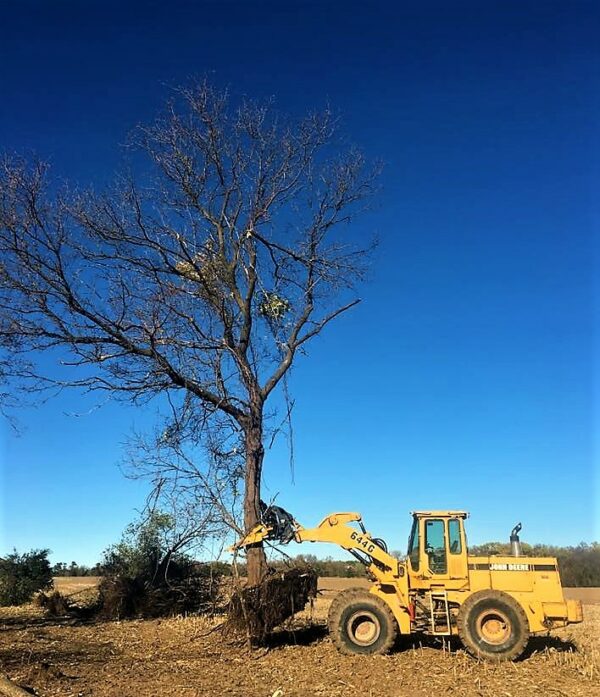 CL Fabrication Tree Pullers for Skid Steer, Compact Track Loaders and Tractor Loaders