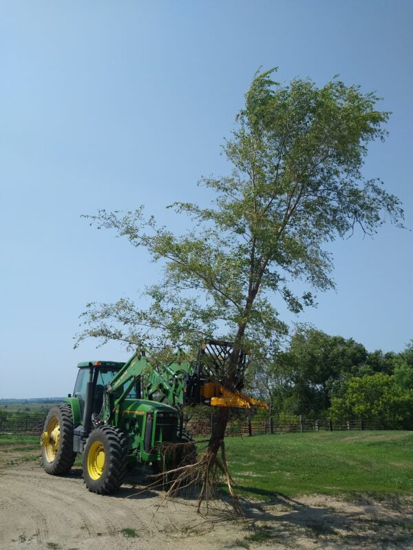 CL Fabrication Tree Pullers for Skid Steer, Compact Track Loaders and Tractor Loaders