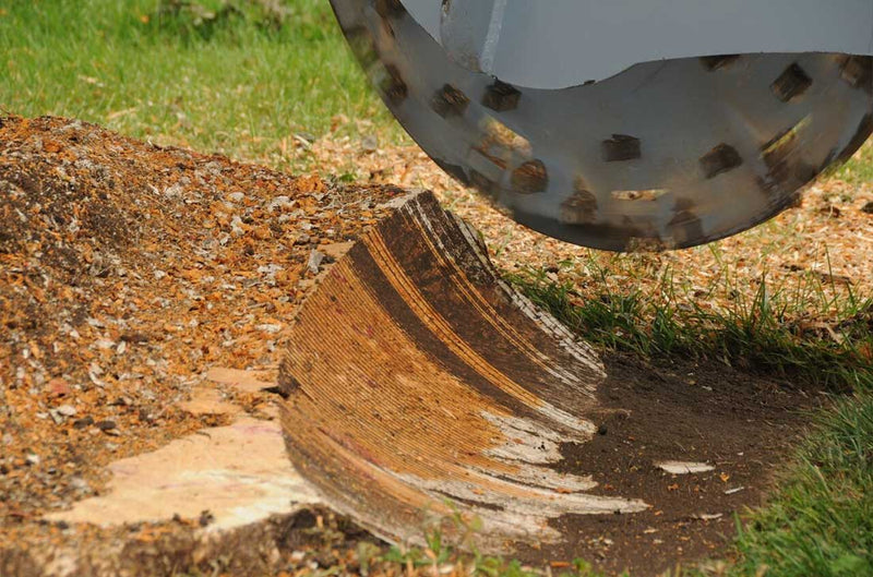 Baumalight 3P34 - 3 Point Hitch Stump Grinder - Landboss