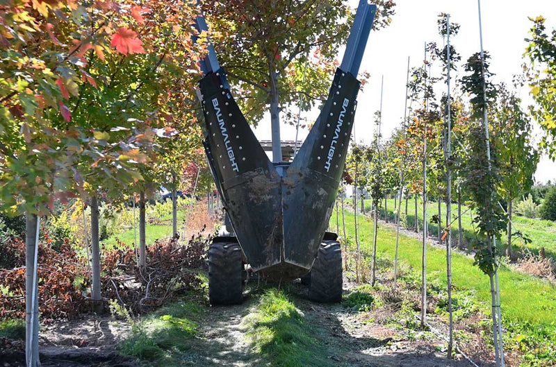 Baumalight DR444 - D001313 Skid Steer Tree Spade - Landboss