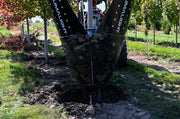 Baumalight DR444 - D001566 Industrial Skid Steer Tree Spade - Landboss