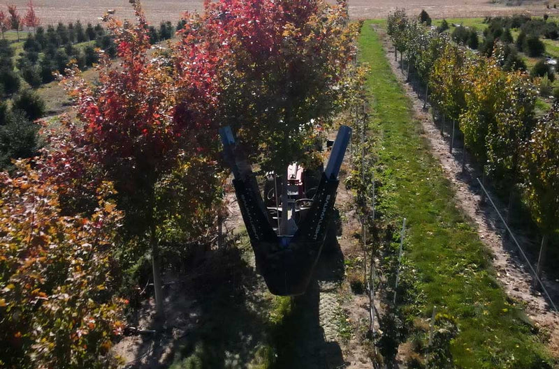 Baumalight DR444 - D003429 Industrial Skid Steer Tree Spade - Landboss