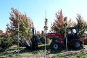 Baumalight DR444 - D003429 Industrial Skid Steer Tree Spade - Landboss