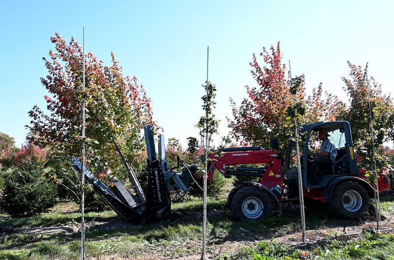 Baumalight DR444 - D003429 Industrial Skid Steer Tree Spade - Landboss