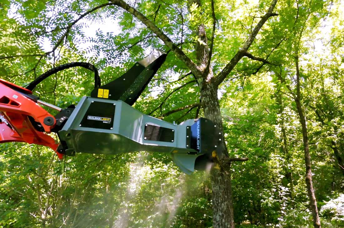 Tree Saws
