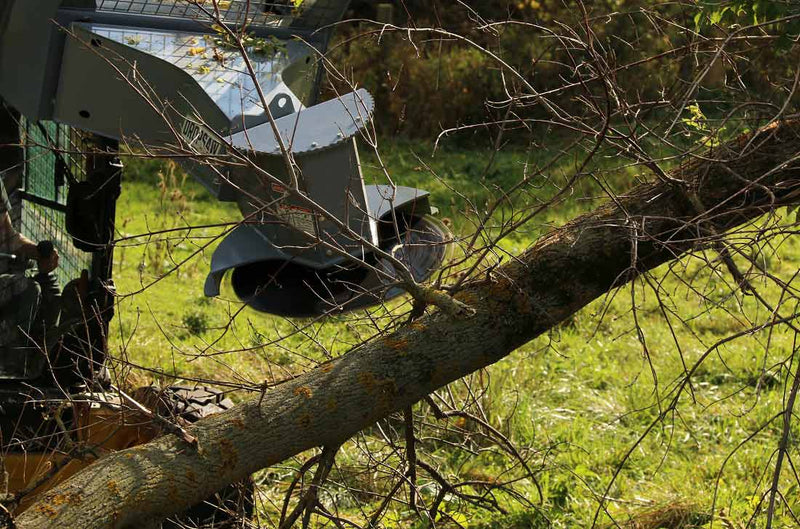 Baumalight DSA530 - T530 Skid Steer Rotating Tree Saw - Landboss