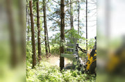 Baumalight FBS752 - T590 2045 Feller Buncher - Landboss