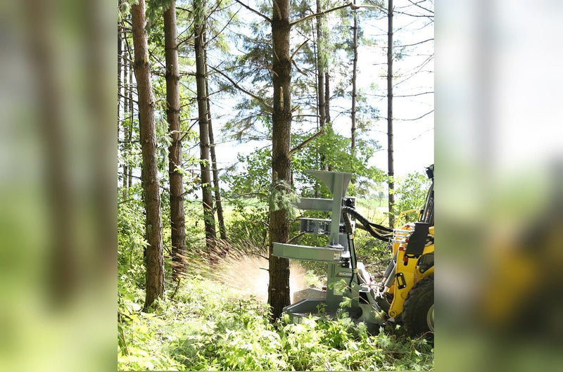 Baumalight FBS752 - T590 2045 Feller Buncher - Landboss