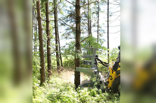 Baumalight FBS752 - T590 2045 Feller Buncher - Landboss