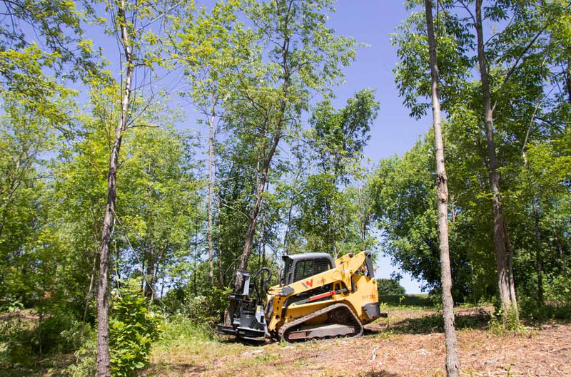 Baumalight ISH712G Horizontal Skidsteer Tree Shear - Landboss