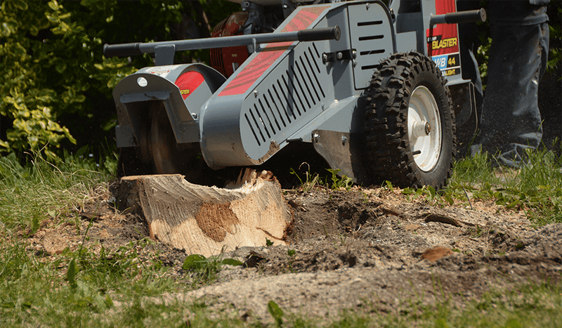 Baumalight WB44 Walk - Behind Stump Grinder - Landboss