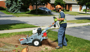 Baumalight WB44 Walk - Behind Stump Grinder - Landboss