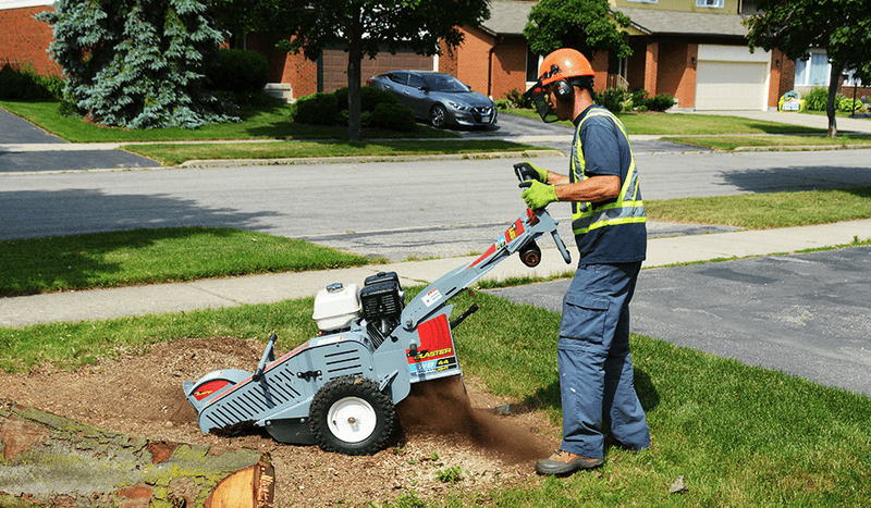 Baumalight WB44 Walk - Behind Stump Grinder - Landboss