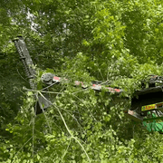 Limb Beaver Junior Beaver JB 4TR 4 Foot Limb Trimming & Brush Clearing Attachment For use with Tractor Loaders - Landboss