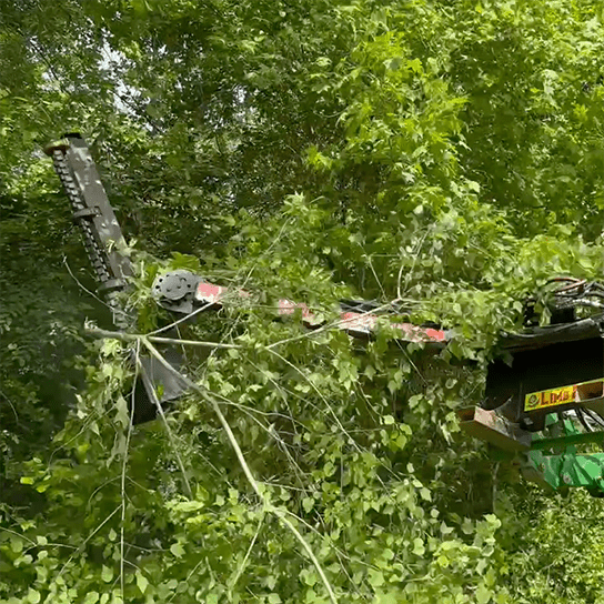 Limb Beaver Junior Beaver JB 4TR 4 Foot Limb Trimming & Brush Clearing Attachment For use with Tractor Loaders - Landboss